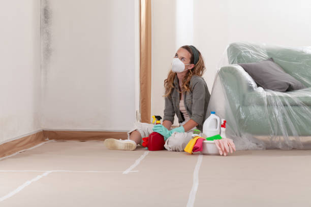 Reliable Attic Mold Removal contractor in Pittsboro, NC by WQB Mold Removal